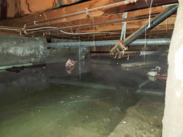 Best Commercial water damage restoration  in Hays, NC