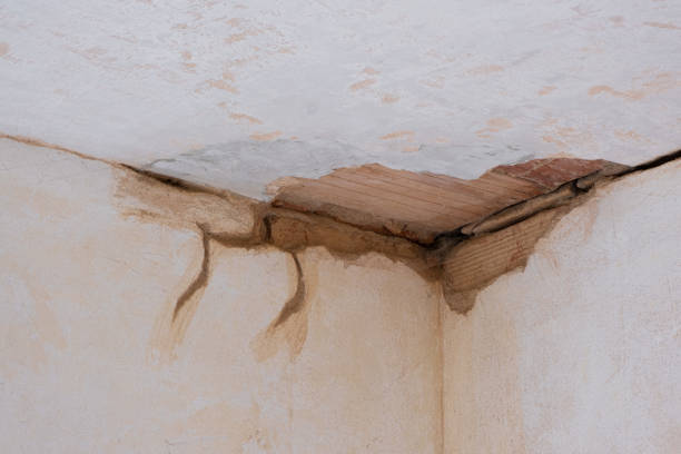 Best Sewage cleanup and water damage restoration  in Hays, NC