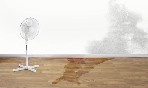  Hays, NC Water damage restoration Pros