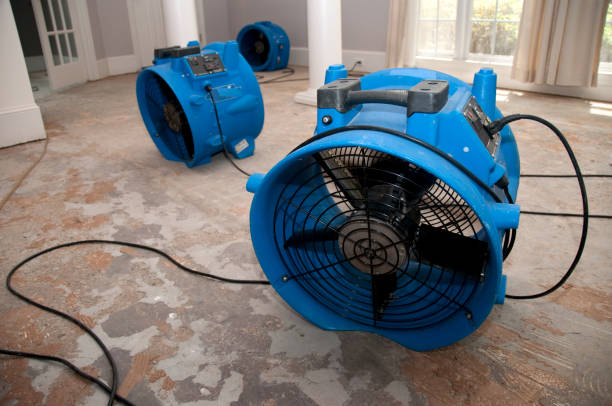 Best Local water damage restoration  in Hays, NC