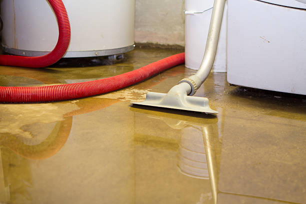 Best Ceiling water damage repair  in Hays, NC