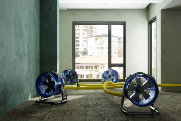 Best Water damage restoration experts  in Hays, NC