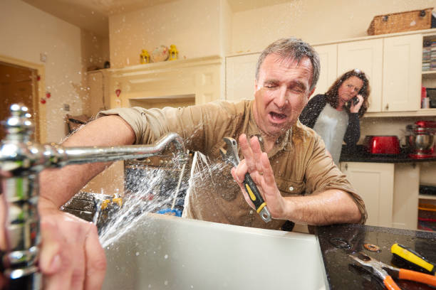 Reliable Hays, NC Water damage restoration Solutions